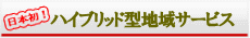 ハイブリッド型地域サービス